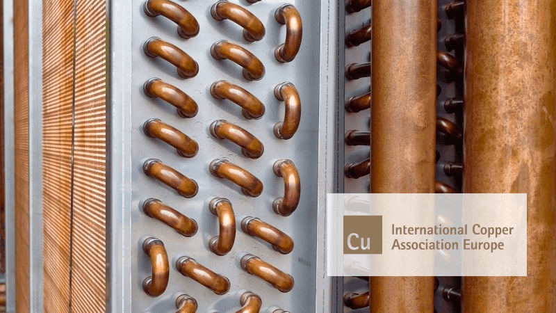 2025-09-11 - Press image