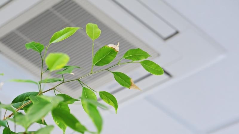 Indoor Environmental Quality 3