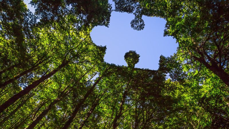 Sustainable Products - RoHS 10